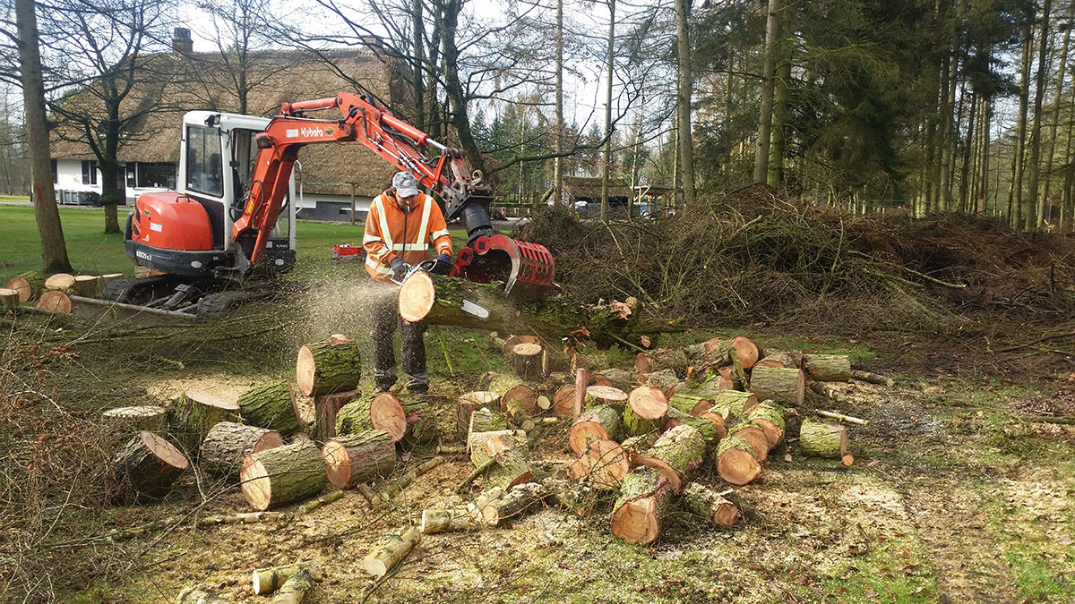 Vellen-van-bomen,-Stekene-1